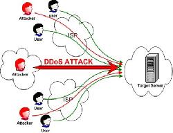 Diệt bot tấn công DDoS vào các báo mạng Việt Nam